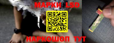 шишки Обь