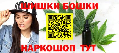 шишки Обь