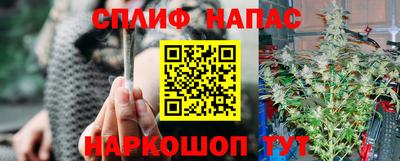 шишки Обь