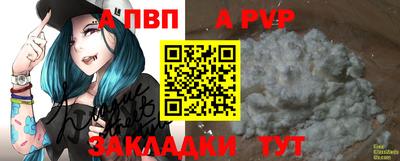 шишки Обь
