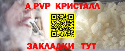 шишки Обь