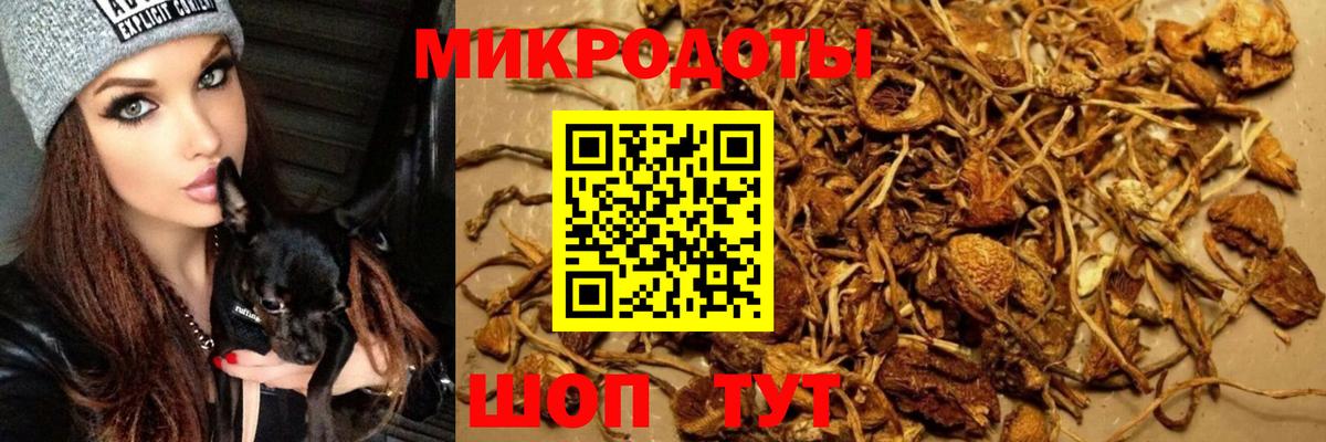 Галлюциногенные грибы мухоморы Чернушка